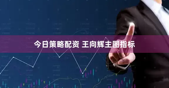 今日策略配资 王向辉主图指标
